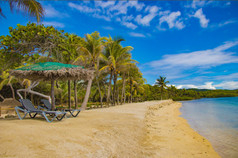 Honduras Beach Roatan Coconut Trees Tiki Hut