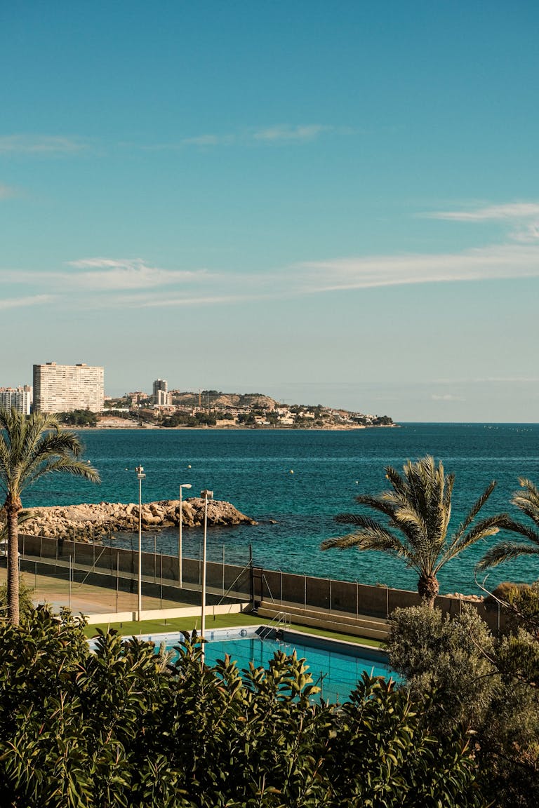 A beautiful coastal view featuring palm trees and azure waters under a clear blue sky.