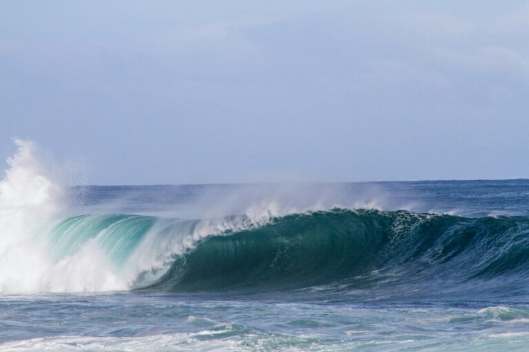 Massive Waves Forecast to Hit Hawaii’s Northern Beaches