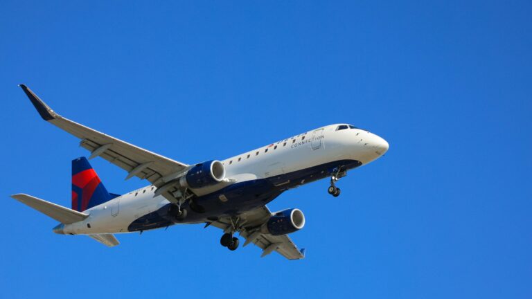 Hidden Holiday Passenger: Stowaway Emerges on Delta Flight in Seattle