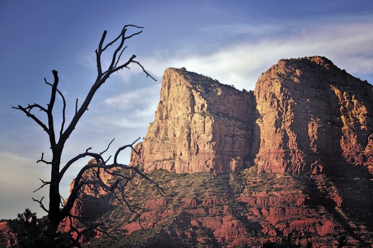 Scenic view of Sedona's towering red rock formations and silhouetted tree at sunset.