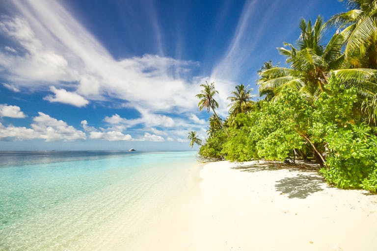 Pristine beach with turquoise waters and palm trees on Laamu Atoll, Maldives.